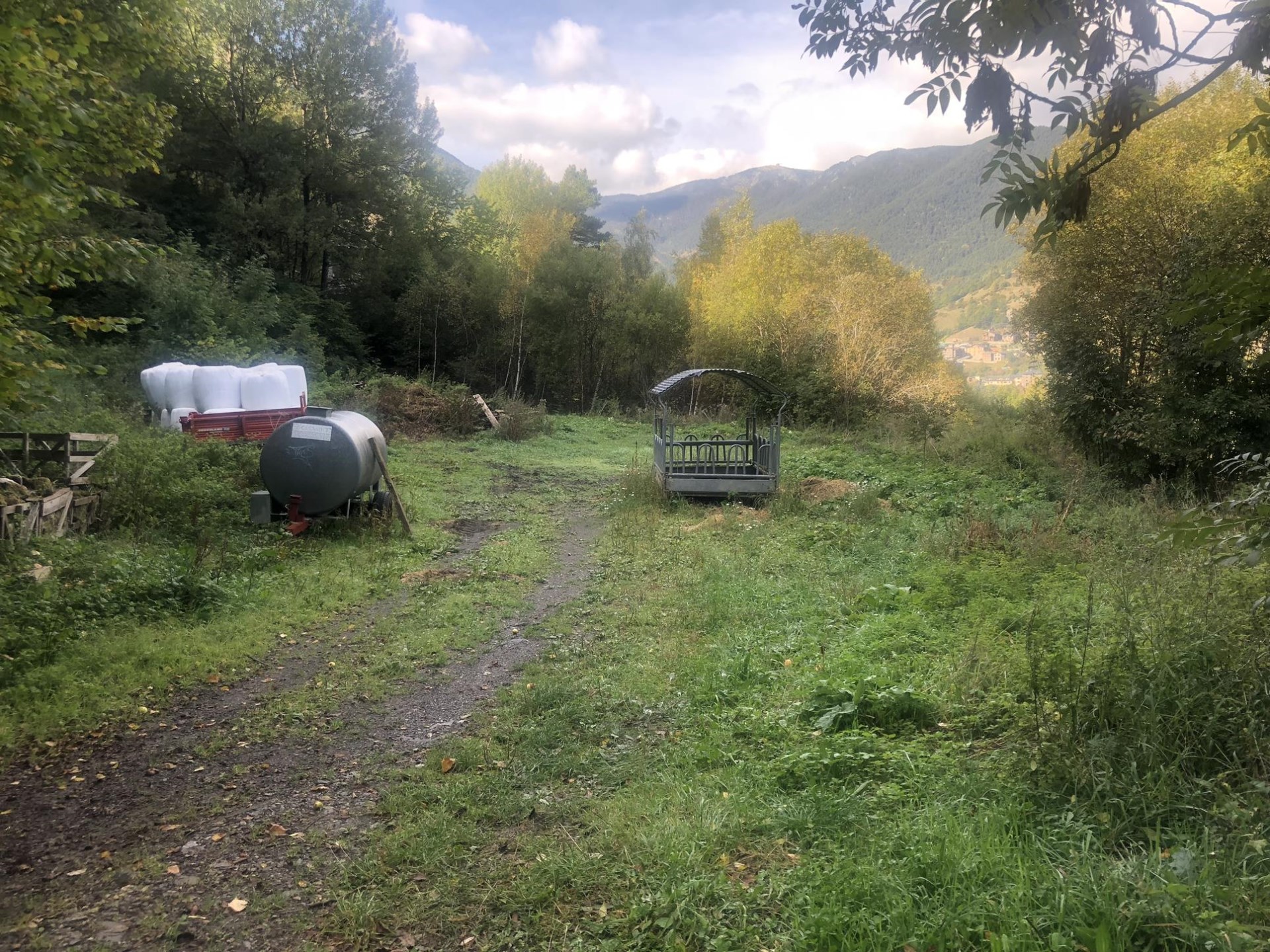 Lot of properties for sale in Anyós (La Massana)