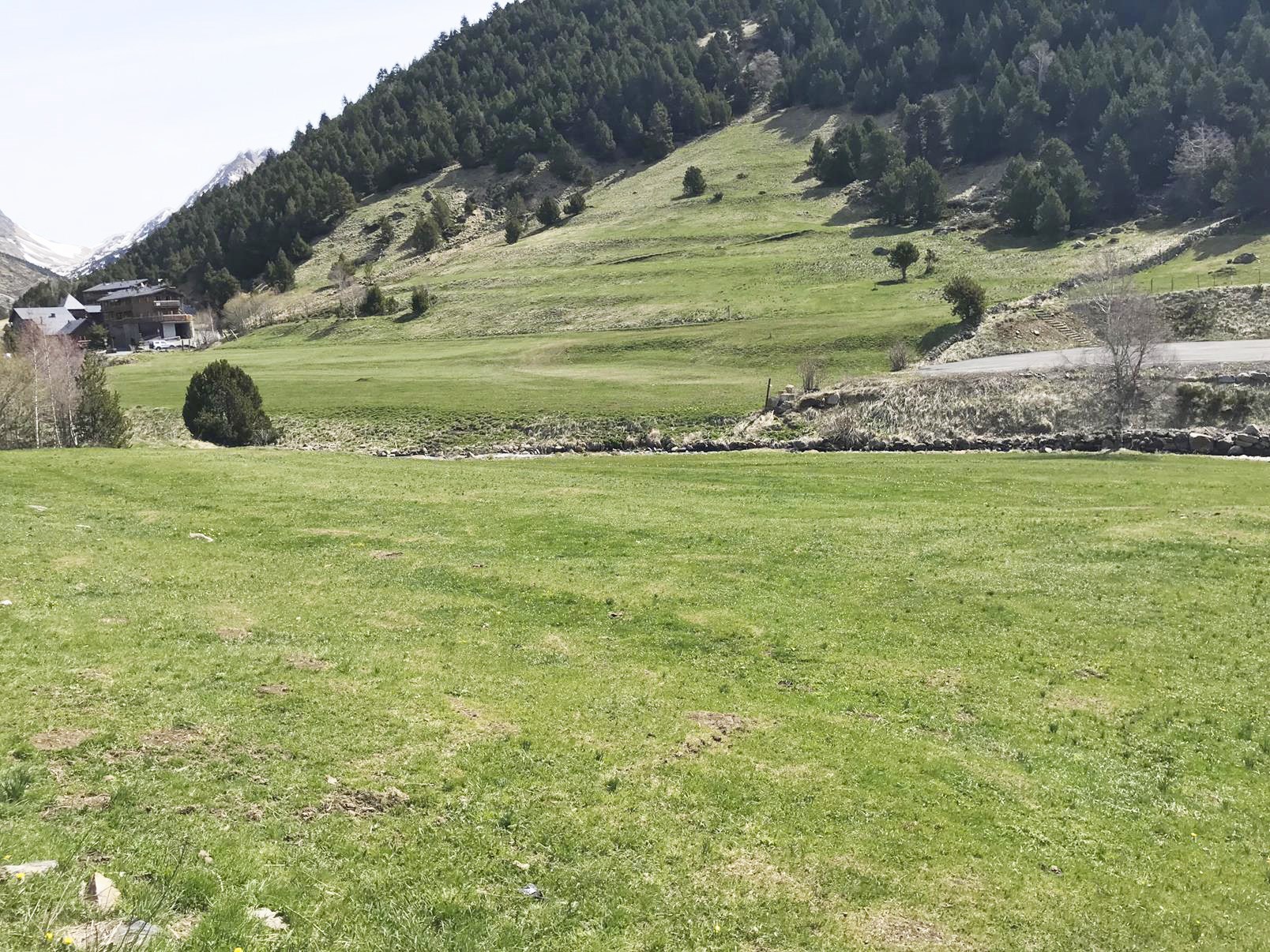 Land for sale in Incles (Canillo)