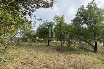 Land Sale/MONTFERRER I CASTELLBO LLEIDA