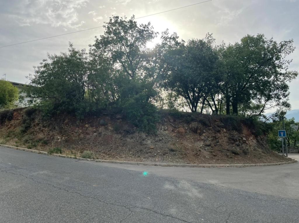 Land for sale in MONTFERRER I CASTELLBO (LLEIDA)