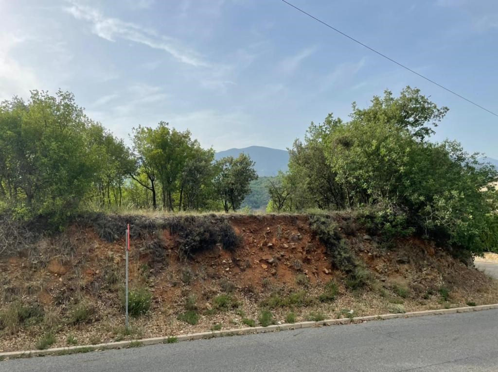 Land for sale in MONTFERRER I CASTELLBO (LLEIDA)