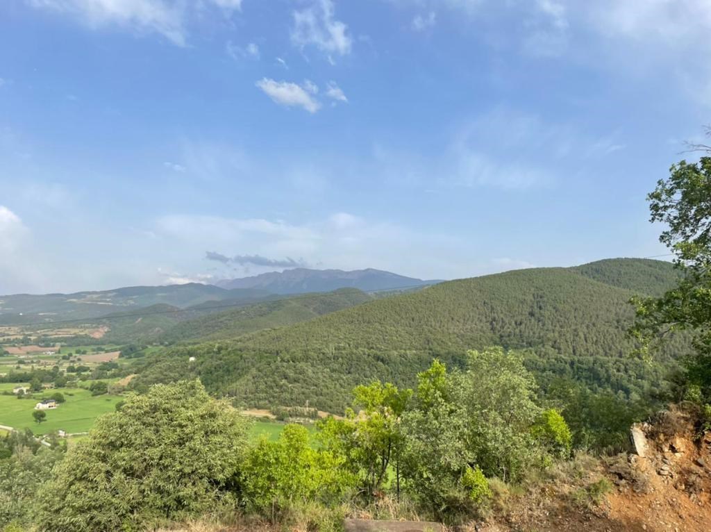 Land for sale in MONTFERRER I CASTELLBO (LLEIDA)