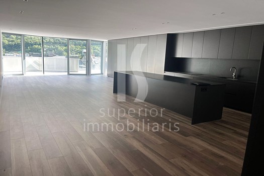 Apartament en lloguer de 3 habitacions a Andorra la Vella amb terrassa i parking