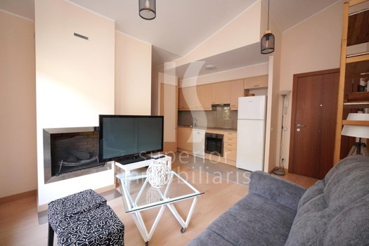 Penthouse for rent with 1 bedroom in El Tarter (Canillo) with terrace and parking