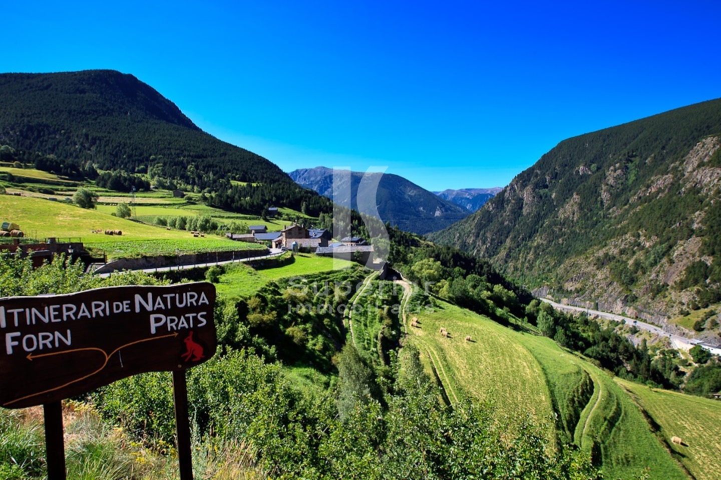 Terreny en venda a Prats, 1663 metres