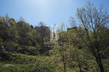 Land Sale/Escaldes-Engordany Escaldes - Engordany